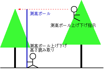 How to measure tree height