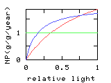 light-production relationship