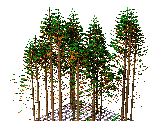 30 trees, age 40