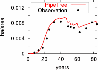 pipetree population