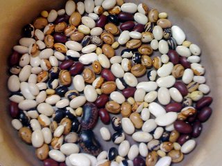 beans19